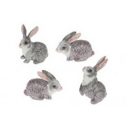 Gray Rabbits