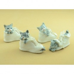 Cats In White Shoe