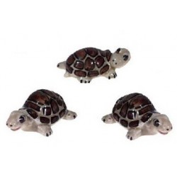 Tortoises